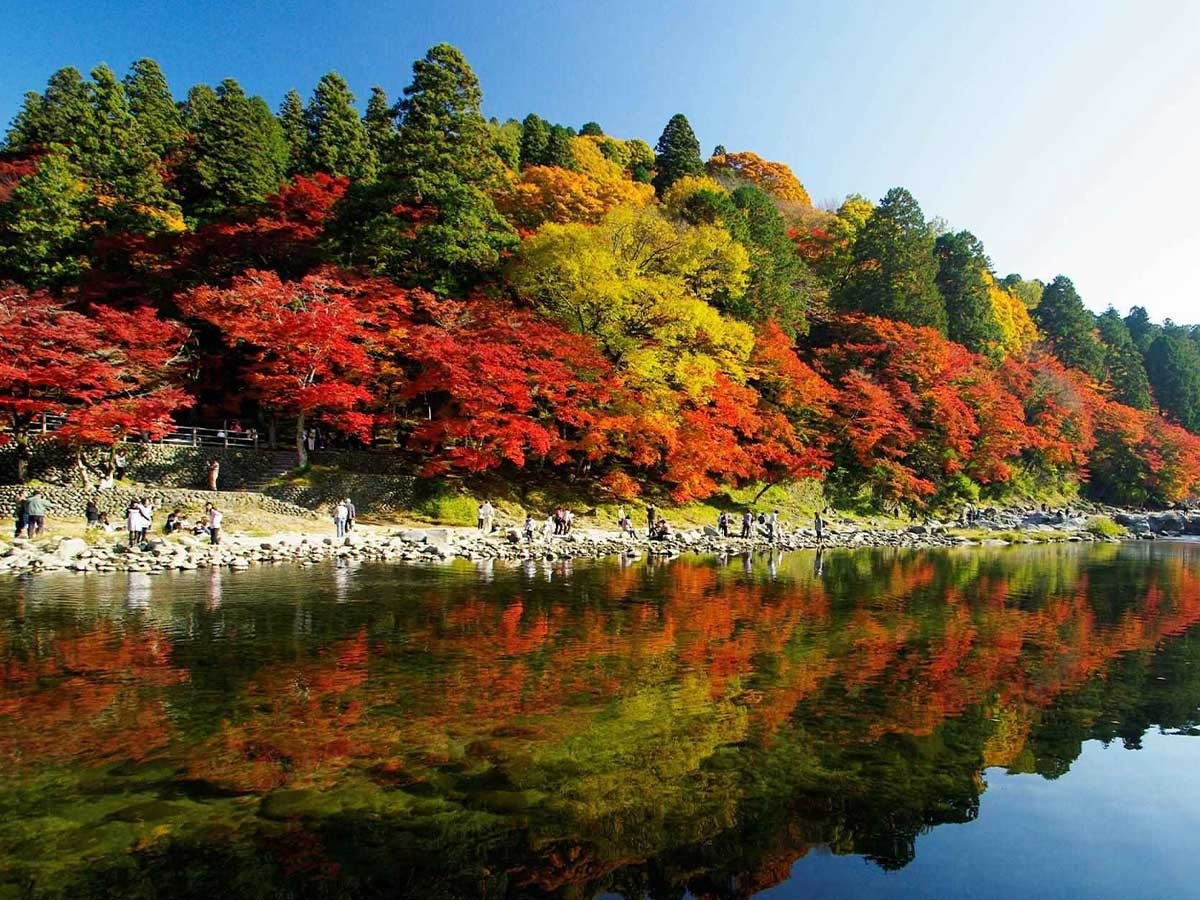 紅葉特集2025-西日本-｜おすすめ情報｜リゾートトラストグループ