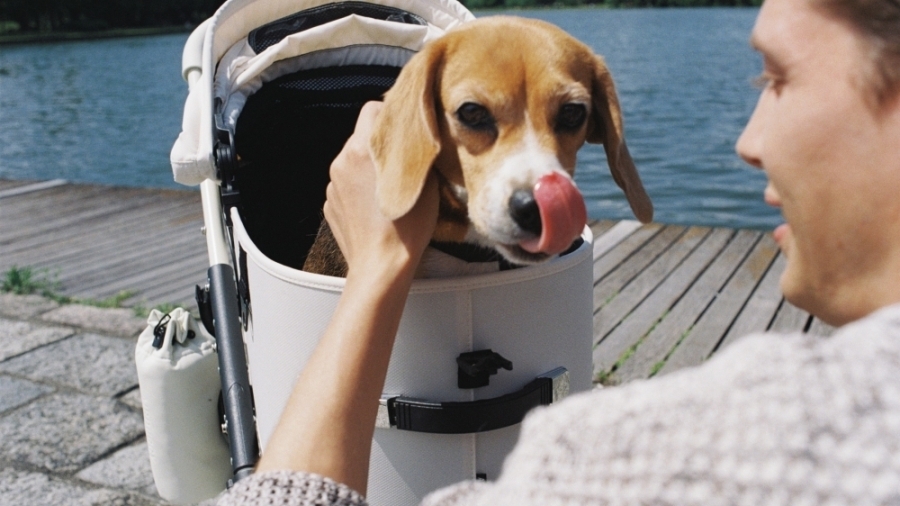 ワンちゃんにも愛されるホテルとして｜サンクチュアリコート琵琶湖