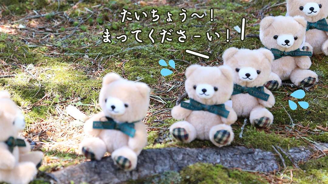 500個限定】エクシブ蓼科オリジナルテディベアチャーム 第3弾
