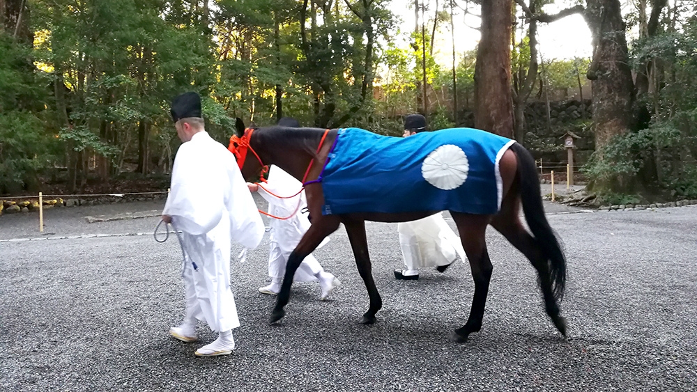 神馬牽参、神聖な瞬間｜おすすめ情報｜グランドエクシブ鳥羽｜ホテル