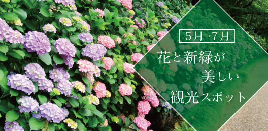 【2023年】5月～7月の旅行におすすめ「花と新緑が美しい観光スポット」