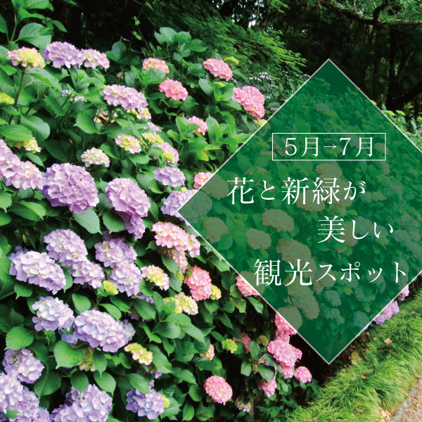 【2023年】5月～7月の旅行におすすめ「花と新緑が美しい観光スポット」
